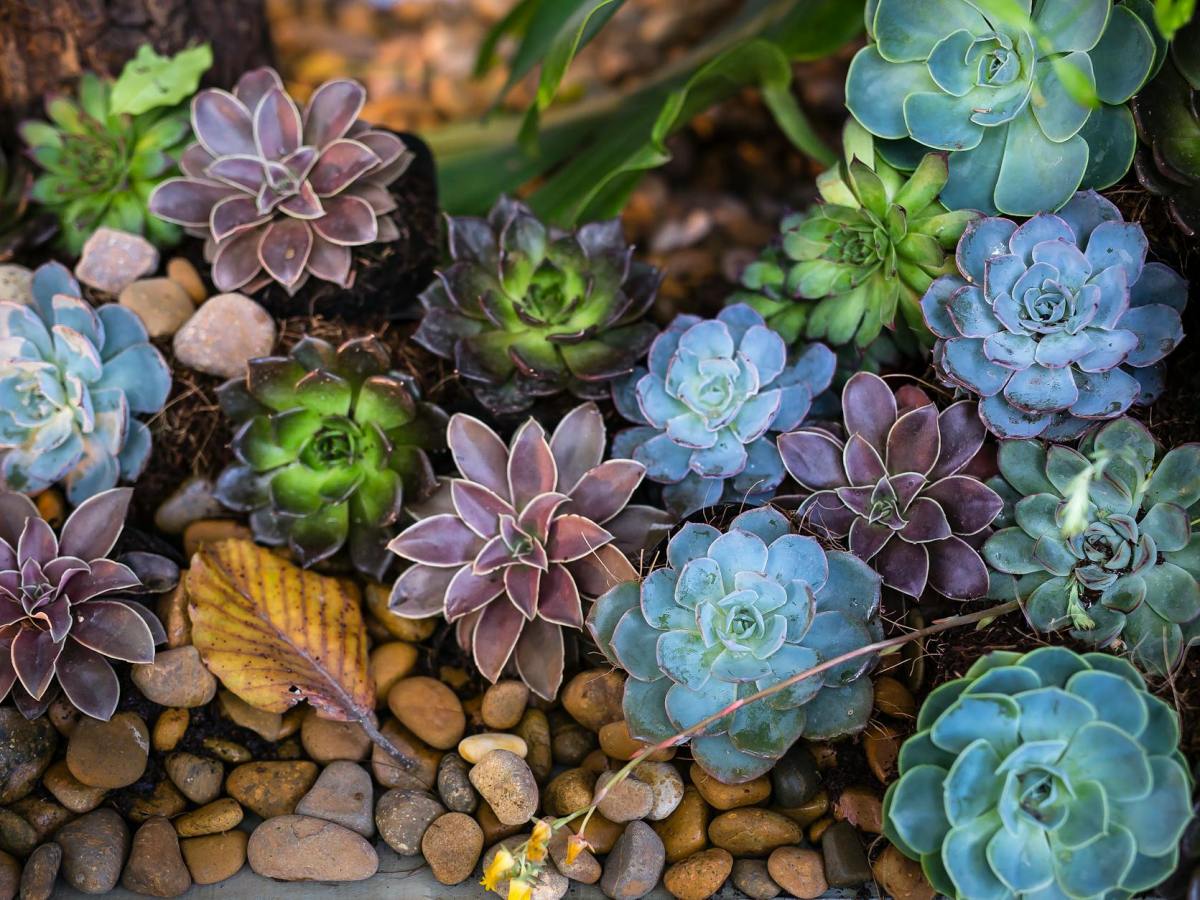 The Ultimate WordPress Growth Playbook: From 100 to 100K&nbsp;Visitors